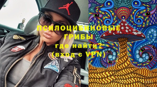 прущий лед Надым