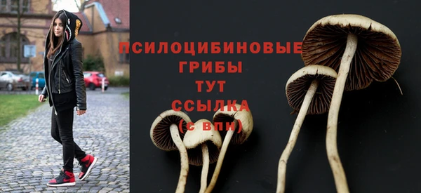 прущий лед Надым
