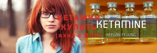 прущие грибы Наволоки