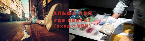 прущие грибы Наволоки