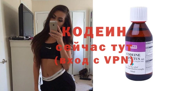 прущие грибы Наволоки