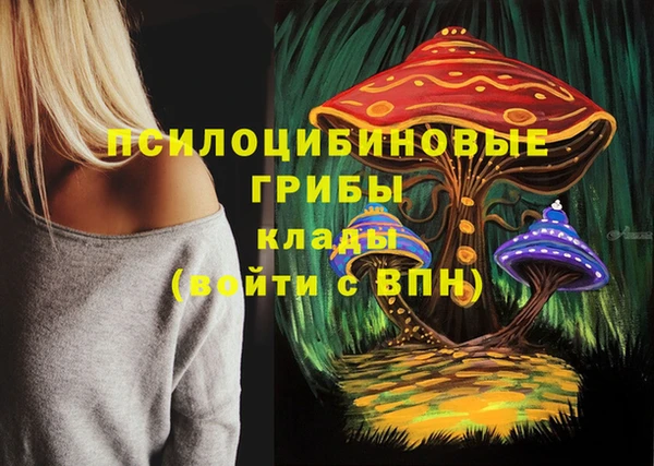 тгк Навашино
