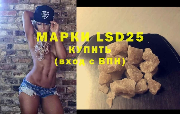 прущие грибы Наволоки