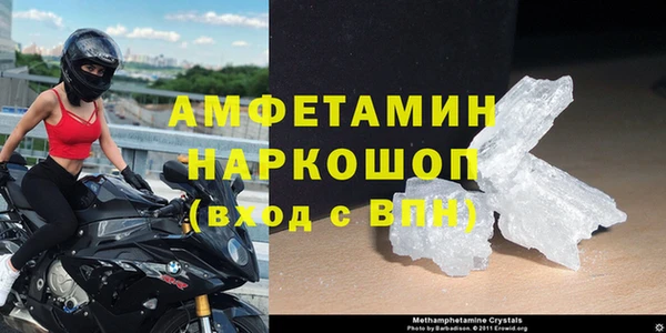 прущие грибы Наволоки
