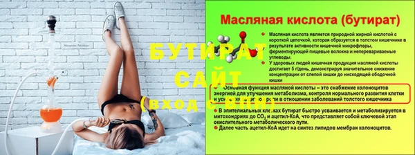 прущие грибы Наволоки