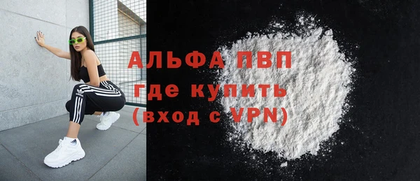 прущие грибы Наволоки