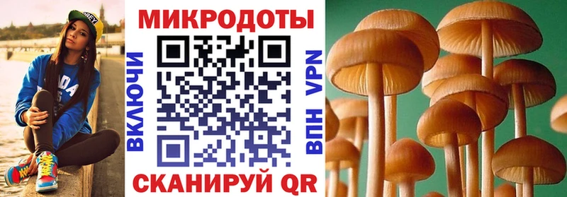 Галлюциногенные грибы MAGIC MUSHROOMS  Купить закладки  Карасук 